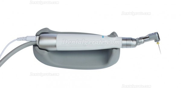 Yushendent C Smart Mini2 Schnurlose Endodontie Mikromotor Endo Motor Handst&uuml;ck
